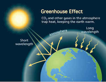 Green house effects in global warming