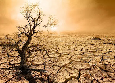 Global Warming Effects On Earth