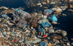 Why plastic Effects To Nature